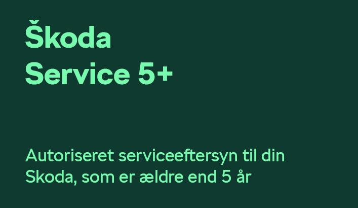  5+ Service 1021